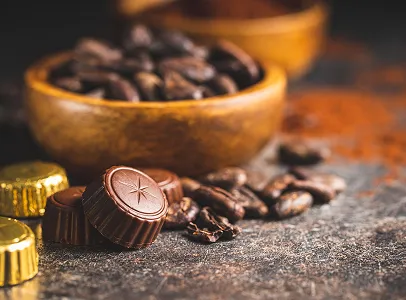 chocolats artisanaux à La Chapelle-Saint-Ursin près de Bourges dans le Cher 18
